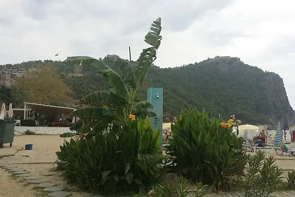 Uzel Hotel - Resim 16