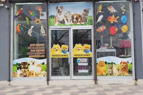 Aslan Petshop - Resim 20
