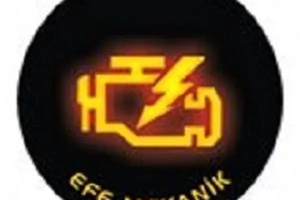 Efe Okul,Turizm ve servis taşımacılığı - Resim 2