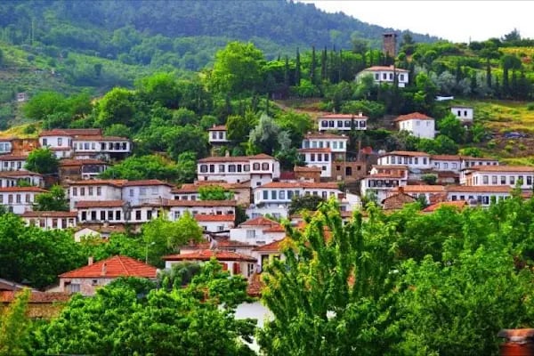 Aliya Garden - Köy Evi ve Lezzetleri - Resim 1
