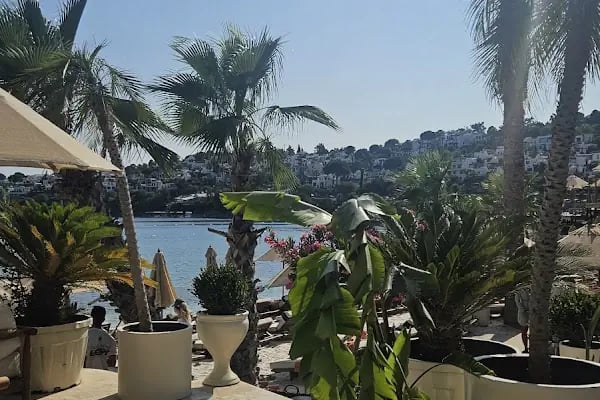 Coze Bodrum - Resim 15