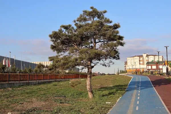 Naim Süleymanoğlu Parkı - Resim 7