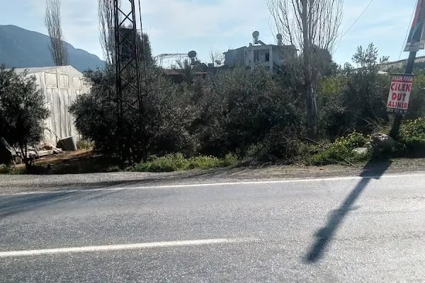 Anamur Kaşdişlen Kültür Merkezi ve Cem Evi - Resim 5