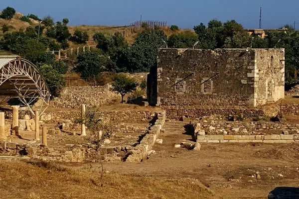 Kelenderis - Resim 9