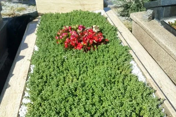 AnkaraKabir Mezar Bakım Hizmetleri - Resim 9