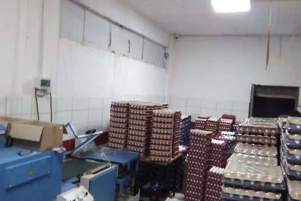 AKŞEHİR SAFİR YUMURTA PAKETLEME - Resim 7