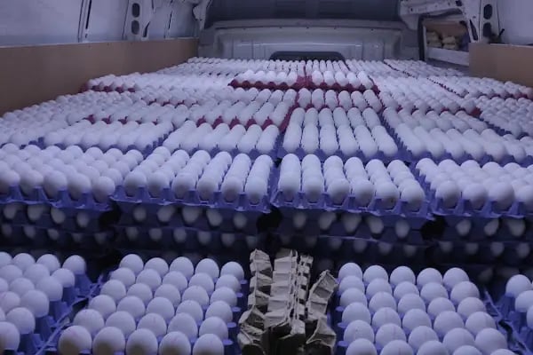 AKŞEHİR SAFİR YUMURTA PAKETLEME - Resim 11
