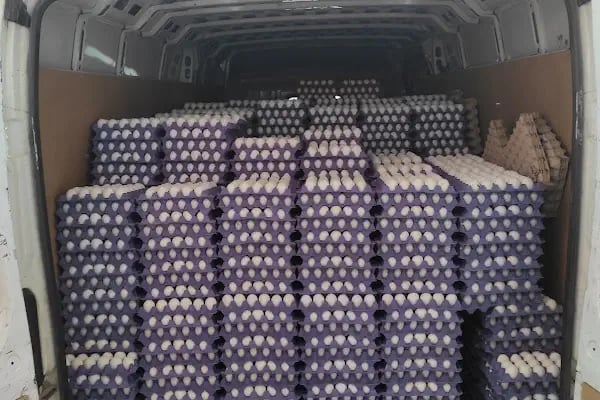 AKŞEHİR SAFİR YUMURTA PAKETLEME - Resim 14