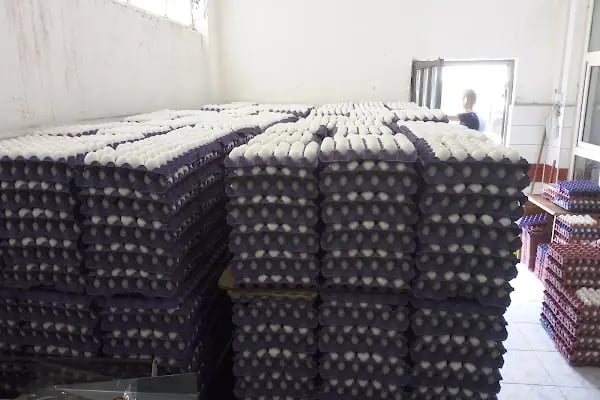 AKŞEHİR SAFİR YUMURTA PAKETLEME - Resim 3