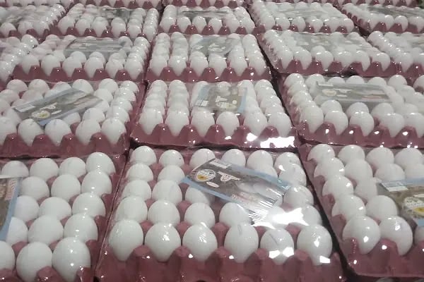 AKŞEHİR SAFİR YUMURTA PAKETLEME - Resim 5