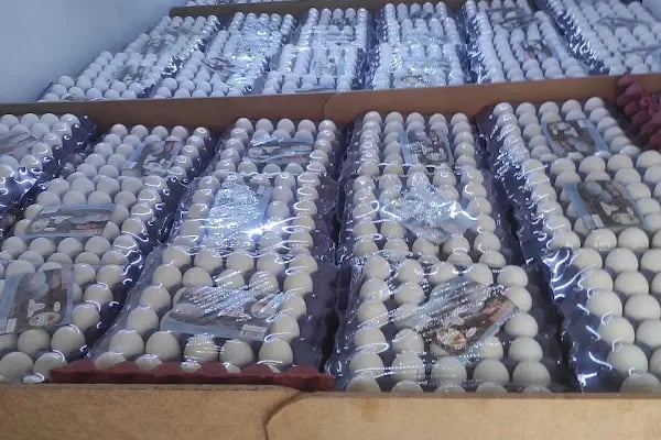 AKŞEHİR SAFİR YUMURTA PAKETLEME - Resim 12