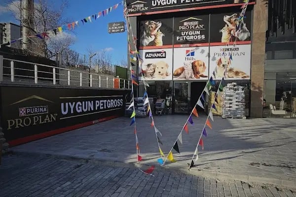 Uygun Petgross Ayaş Yolu - Resim 11