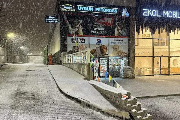 Uygun Petgross Ayaş Yolu - Resim 3