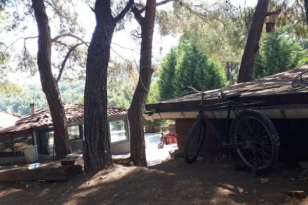 Bıçakçılar Park Orman Tesisleri 1968 ' den beri - Resim 19