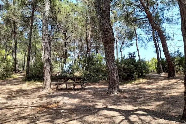 Bıçakçılar Park Orman Tesisleri 1968 ' den beri - Resim 2