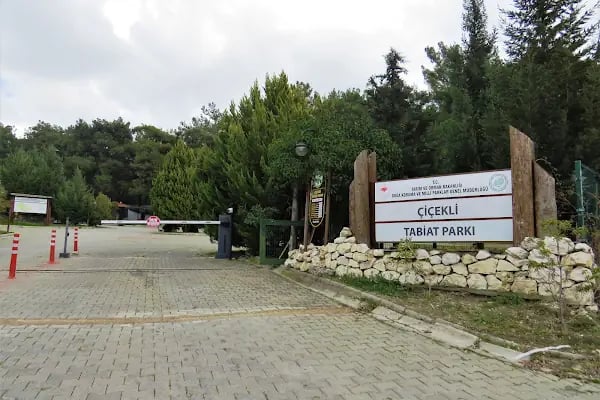 Bıçakçılar Park Orman Tesisleri 1968 ' den beri - Resim 3