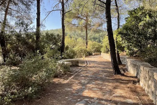 Bıçakçılar Park Orman Tesisleri 1968 ' den beri - Resim 5