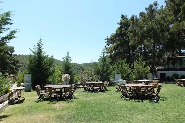 Bıçakçılar Park Orman Tesisleri 1968 ' den beri - Resim 14