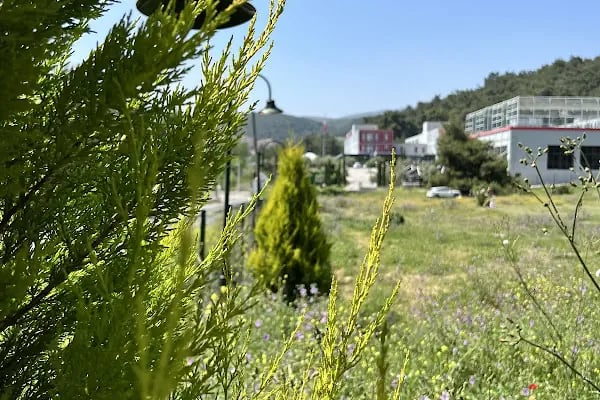 Bıçakçılar Park Orman Tesisleri 1968 ' den beri - Resim 15