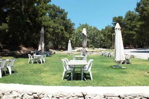 Bıçakçılar Park Orman Tesisleri 1968 ' den beri - Resim 16