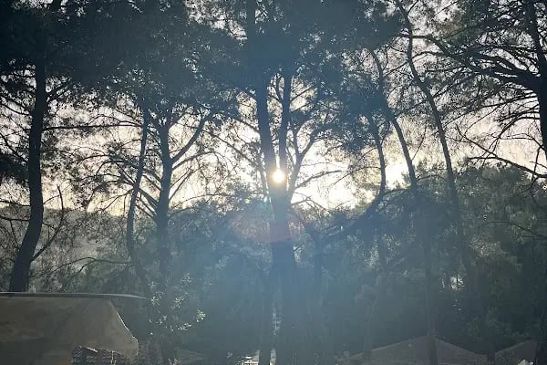 Bıçakçılar Park Orman Tesisleri 1968 ' den beri - Resim 6