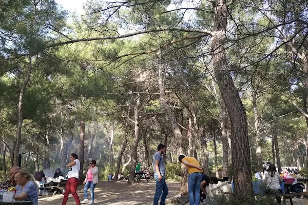 Bıçakçılar Park Orman Tesisleri 1968 ' den beri - Resim 1