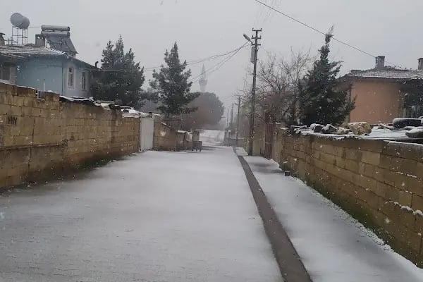 Özbek mahallesi - Resim 4