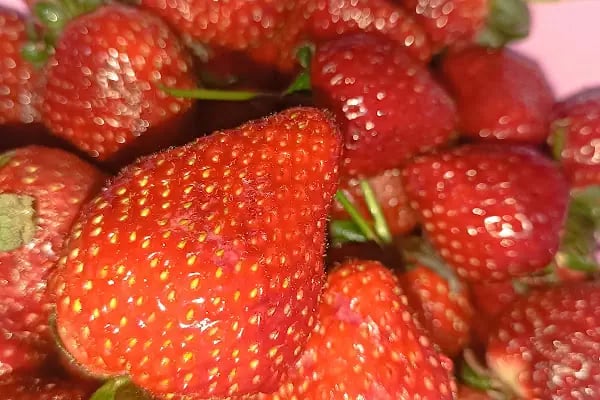 Manavcı İnegöl manav /Çilek Manav 🍓 ®️/ Hızlı Paket servis 🚘 - Resim 3