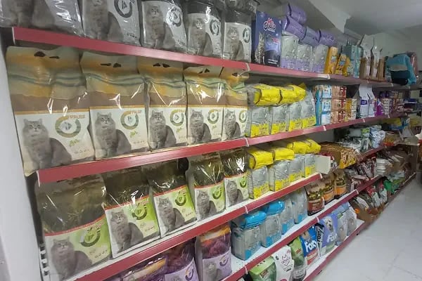 MELTEM PETSHOP AKVARYUM - Resim 10