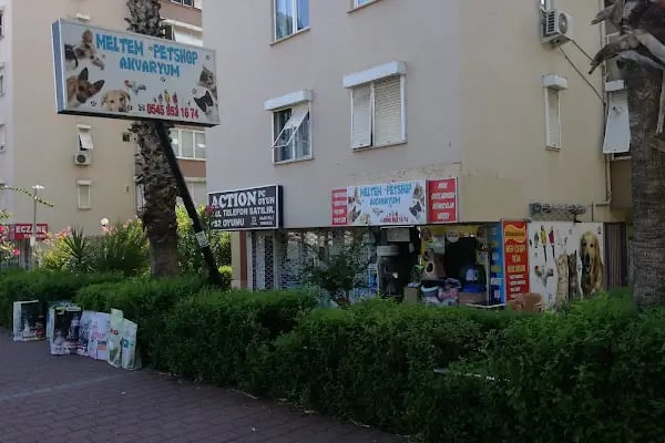 MELTEM PETSHOP AKVARYUM - Resim 7