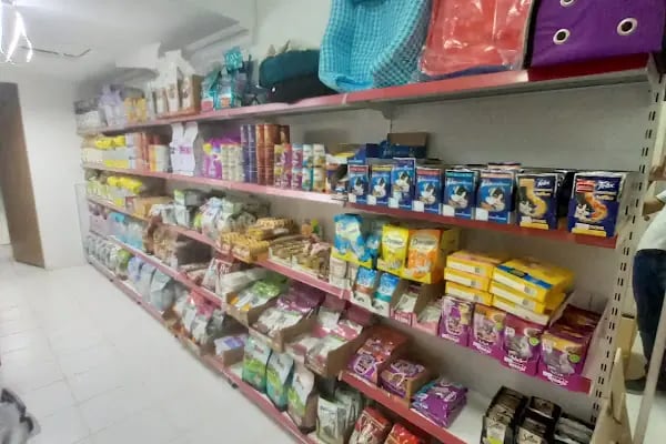 MELTEM PETSHOP AKVARYUM - Resim 16