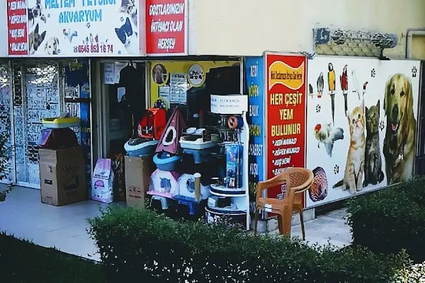 MELTEM PETSHOP AKVARYUM - Resim 2