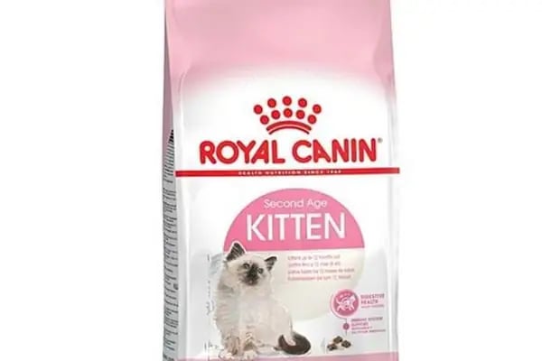 MELTEM PETSHOP AKVARYUM - Resim 11