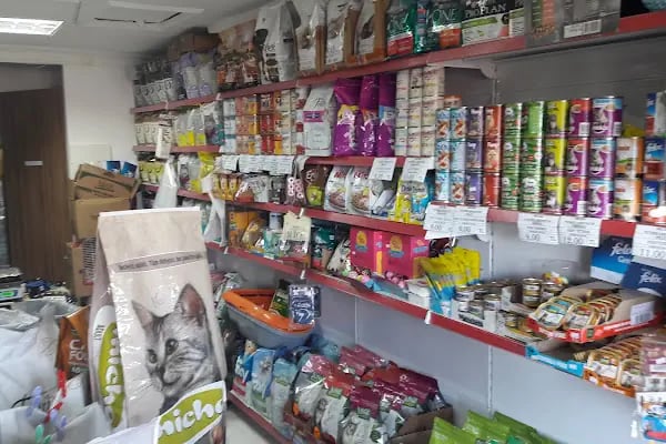 MELTEM PETSHOP AKVARYUM - Resim 20