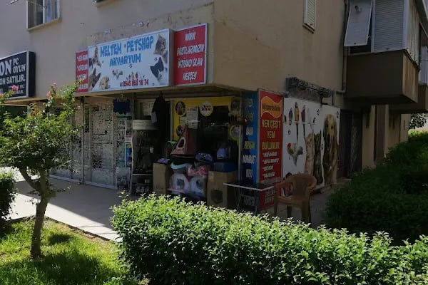 MELTEM PETSHOP AKVARYUM - Resim 17