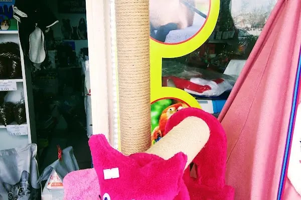 MELTEM PETSHOP AKVARYUM - Resim 6