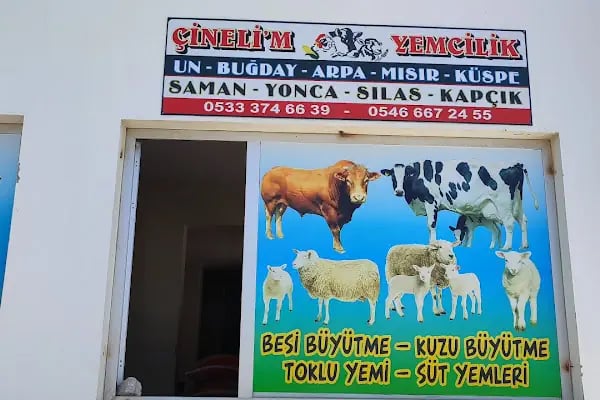 Çinelim Yemcilik - Resim 9