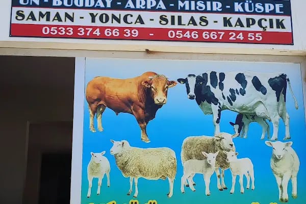 Çinelim Yemcilik - Resim 5