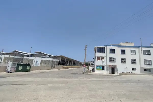 Çinelim Yemcilik - Resim 7