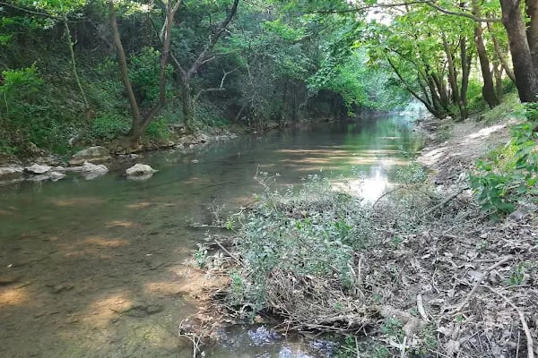 Emir Öztürk Piknik Alanı - Resim 3