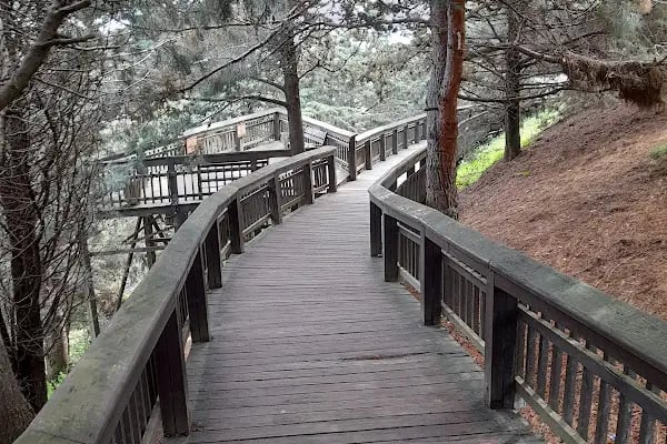 Samsun Teleferik Tesisleri - Resim 15