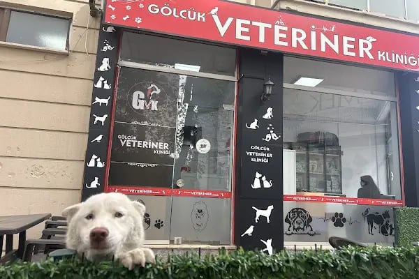 Gölcük Veteriner Kliniği - Resim 5