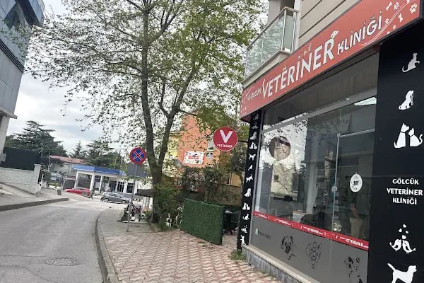 Gölcük Veteriner Kliniği - Resim 3