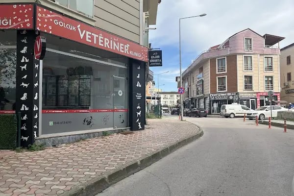 Gölcük Veteriner Kliniği - Resim 7