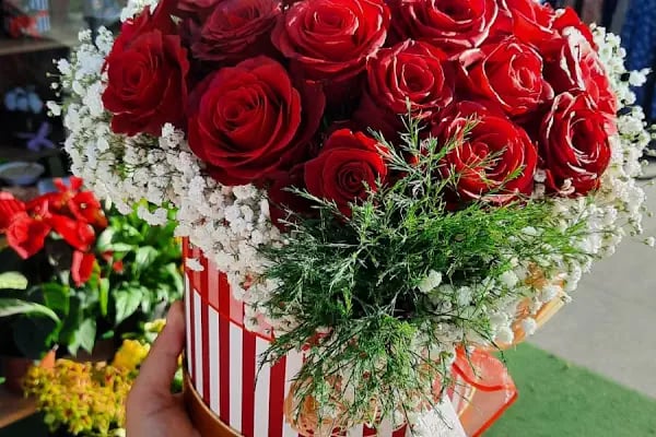Esra Çiçekçilik ESRA FLOWER - Resim 11