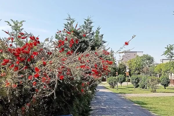 BAHÇELİEVLER BELEDİYESİ RIZA KAYALP SPOR KOMPLEKSİ - Resim 11