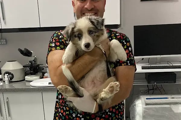 Yellowstone Veteriner Kliniği - Resim 17