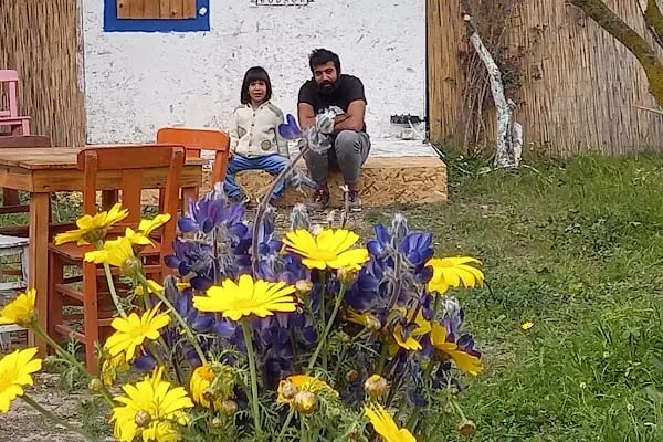 Bodrum wanderheaven Camping.Çadır,bungalov,karavan ve tinyhouse oteli - Resim 14