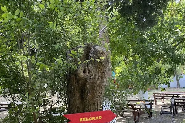 Kardelen Cafe restorant - Resim 12
