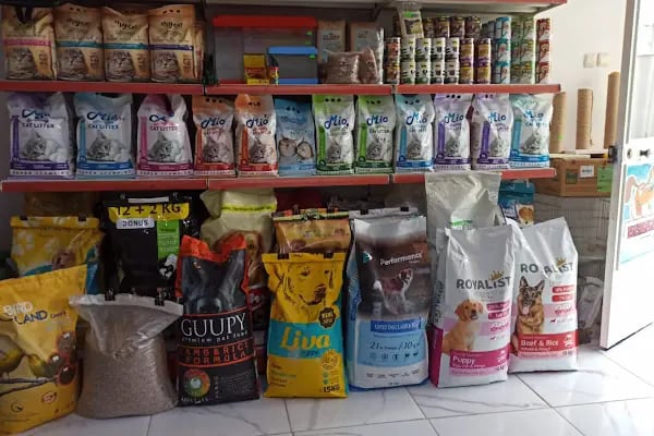 BERK ALP PETSHOP AKVARYUM - Resim 11